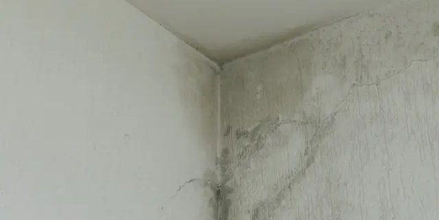 infiltration-eau-deau-toiture-reparation-causes-prevention