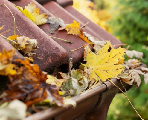 Gouttières en automne remplies de feuilles