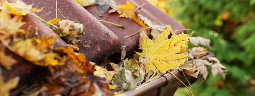 Gouttières en automne remplies de feuilles