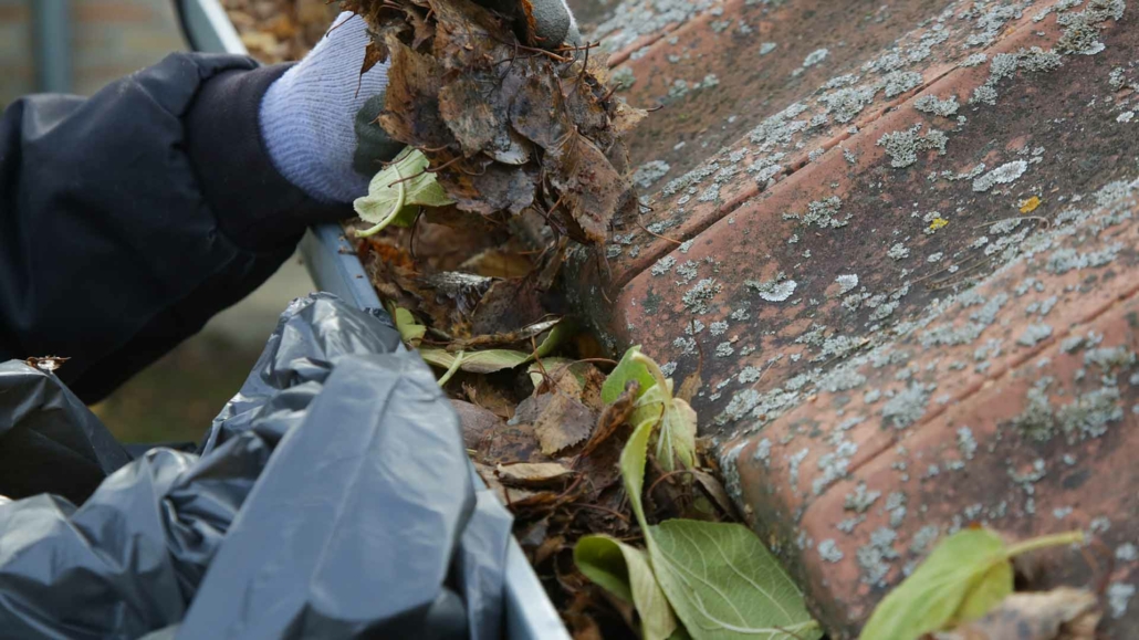 Gouttière en zinc remplie de feuilles mortes d'automne nécessitant un nettoyage